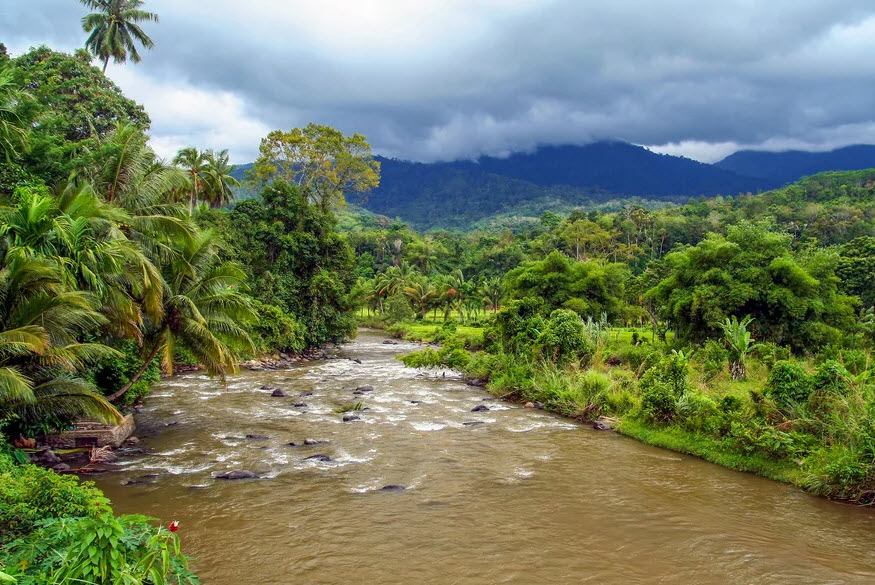 Tropical Rainforest Heritage of Sumatra, Sumatra, Indonesia, Indonesia